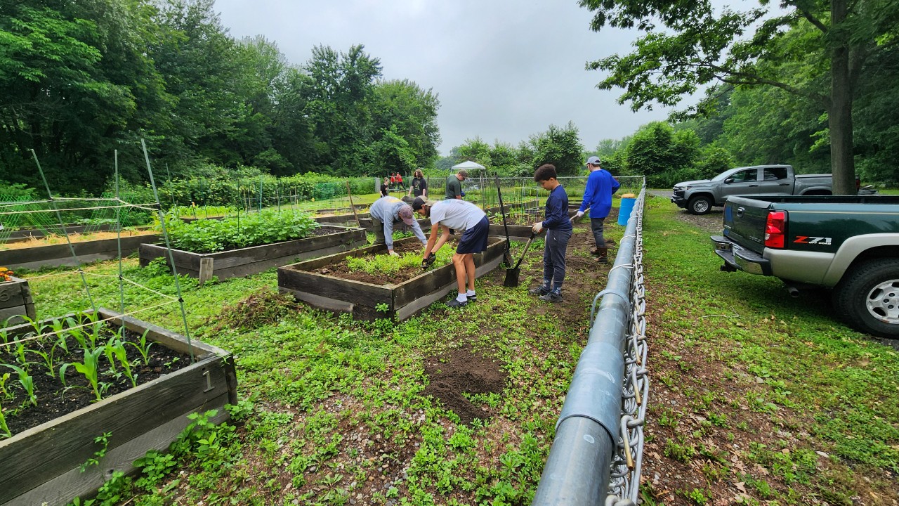 Service Projects